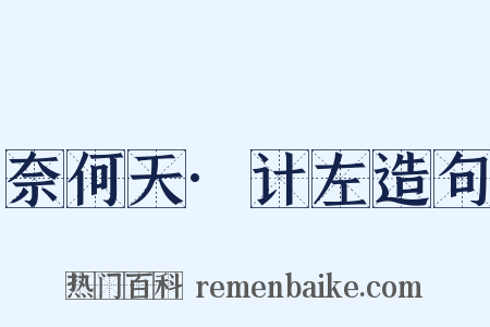 奈何天·计左造句是什么意思的图片